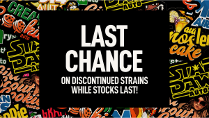 Last Chance – Say Goodbye in Style!