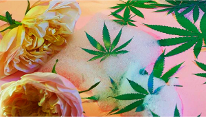 Sapone fai da te a base di cannabis