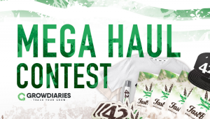 CULTIVA EN GRANDE Y GANA EN EL CONCURSO UN MEGA BOTÍN DE FASTBUDS