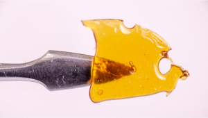 Cannabis Shatter: What Is It, How To Make And Smoke THC & CBD Hash Oil