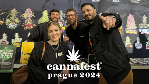 Cannafest 2024: Como correu