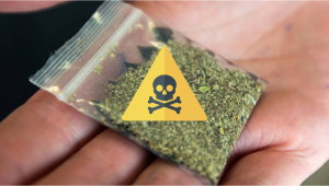 Synthetic Cannabinoids: Uses and Dangers