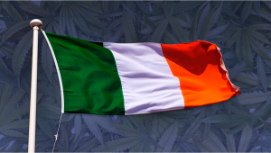 Weed in Ireland: Cannabis Legal Status Guide