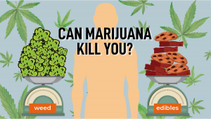 Can Marijuana Kill You?