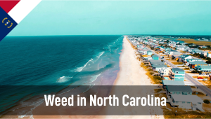 Weed in North Carolina: Cannabis Legal Status Guide