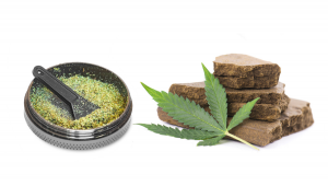 Cannabis Concentrates: Dry Sift vs Bubble Hash 