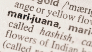 The Weed Dictionary: Stoner Meaning Slang Explained