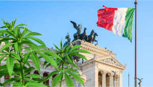 Italia: Se pone en marcha un plan para legalizar el cultivo casero de cannabis