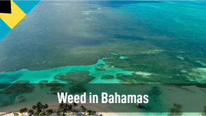 Weed in the Bahamas: Cannabis Legal Status Guide