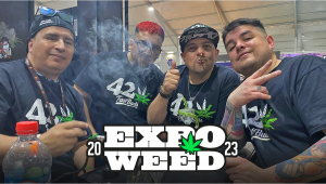 Expoweed Chile: Much More Than an Expo, A Weed Festival