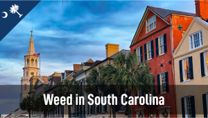 Weed in South Carolina: Cannabis Legal Status Guide