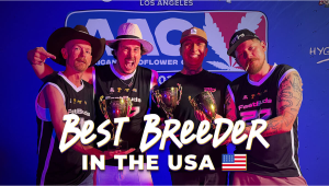 Fast Buds: Nejlepší pěstitel samonakvétaček USA