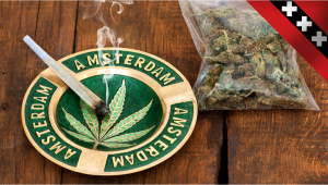 Amsterdam’s Residents Want to Ban Tourists From Cannabis Shops