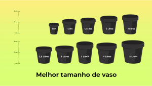 O Melhor Tamanho De Vaso Para Sementes Autoflorescentes