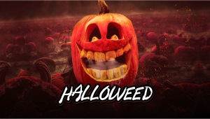 Halloweed 2024: A Frighteningly Good Deal