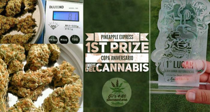 Pineapple Express wins 1st PRIZE!