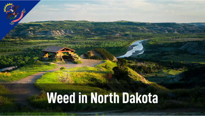 Weed in North Dakota: Cannabis Legal Status Guide