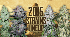 The long-awaited new strains 